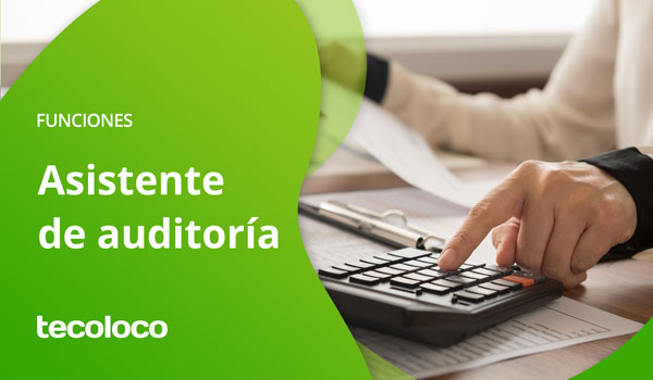 funciones de un asistente de auditoria